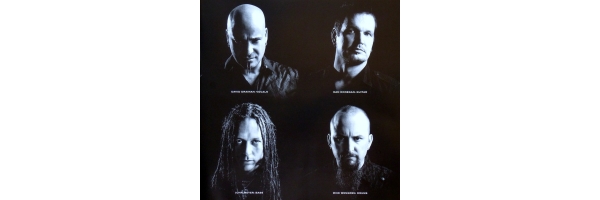 Disturbed