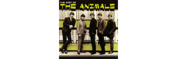 Animals