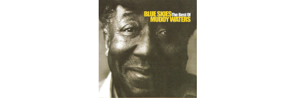 Muddy Waters