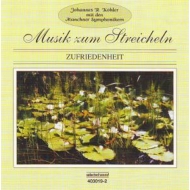 Zufriedenheit - Johannes R.Köhler und Orchester