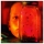 Alice In Chaints - Jar Of Flies Vinyl LP Sleeve Jacket