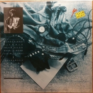 IC Falkenberg - Traumarchiv Vinyl LP