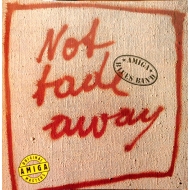 Amiga Blues Band - Not Fade Away