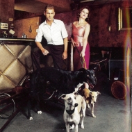 Rosenstolz - Kassengift