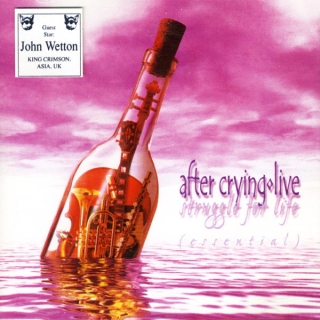 After Crying - Struggle For Life (Essential)