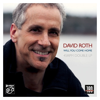 David Roth - Will You Come Home Vinyl LP