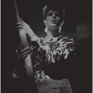 David Bowie - Rock N Roll Star!  Vinyl LP