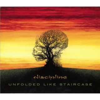 Discipline - Unfolded Like Staircase