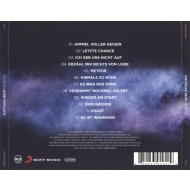 Matthias Reim - Meteor