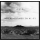 R.E.M. - New Adventures In Hi-Fi