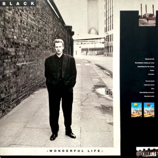 Black  - Wonderful Life Vinyl LP