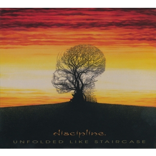 Discipline. - Unfolded Like Staircase