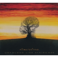 Discipline. - Unfolded Like Staircase