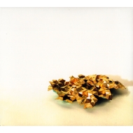 Discipline. - To Shatter All Accord