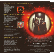 Aerosmith - I Dont Want To Miss A Thing