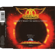 Aerosmith - I Dont Want To Miss A Thing