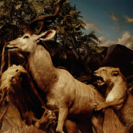 Interpol - Our Love To Admire