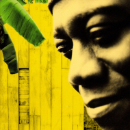 Wally Warning - No Monkey