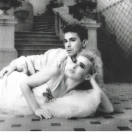 Dollar - The Collection