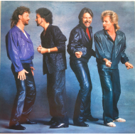 Bob Seger & The Silver Bullet Band - Like A Rock  Vinyl LP