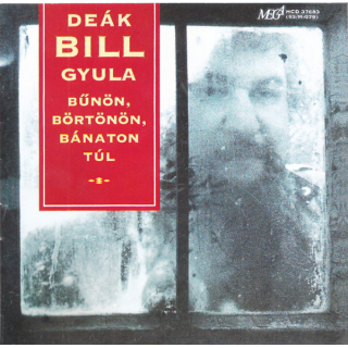De&aacute;k Bill Gyula - Bűn&ouml;n, B&ouml;rt&ouml;n&ouml;n, B&aacute;naton T&uacute;l