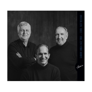Gabor Varga Jazz Trio &ndash; Cool Jazz Reload
