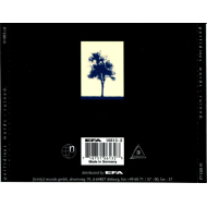 Perfidious Words - Ruined