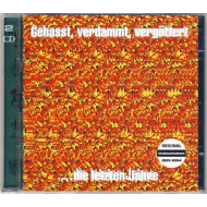 Böhse Onkelz - Gehasst, Verdammt, Vergöttert