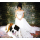 Norah Jones - The Fall