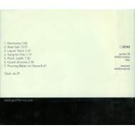 Geoff Farina, Luther Gray, Dan Littleton - New Salt