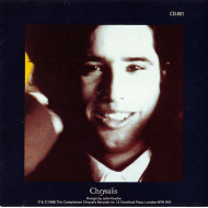 JellyBean - Rocks The House!