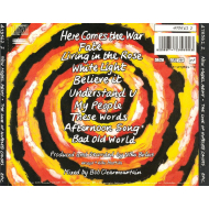 New Model Army - The Love Of Hopeless Causes