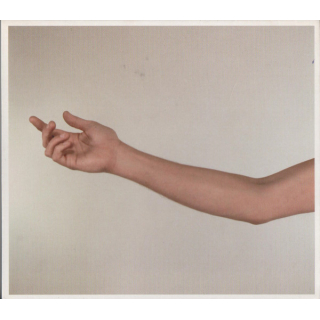 Spiritualized - Amazing Grace®