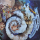 The Moody Blues - A Question Of Balance [LP, Album]