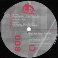 Various - The 8th Strike  12" Vinyl Single